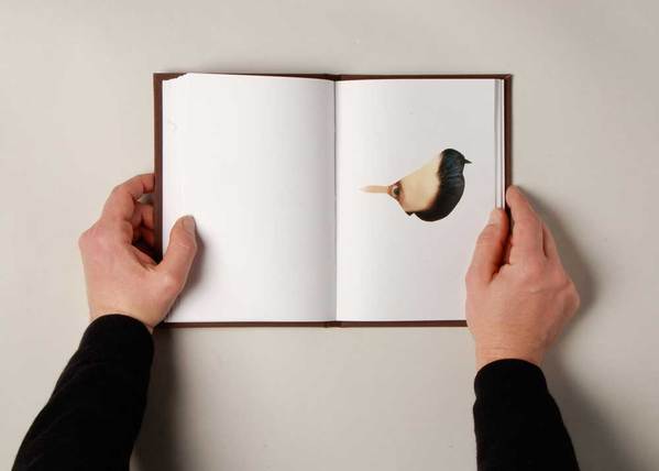 0d7e18745a97332a96370c19c5db2a48