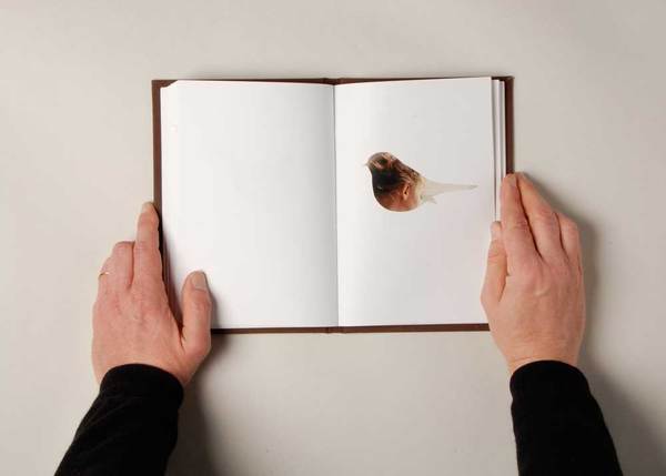 0f88bd83650b9c269852243c7282f2a7