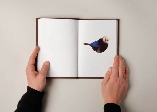 144bb802915c5e38c3f9512be55195ec