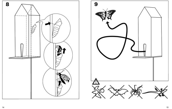 1936186_1134421968963_94655_n