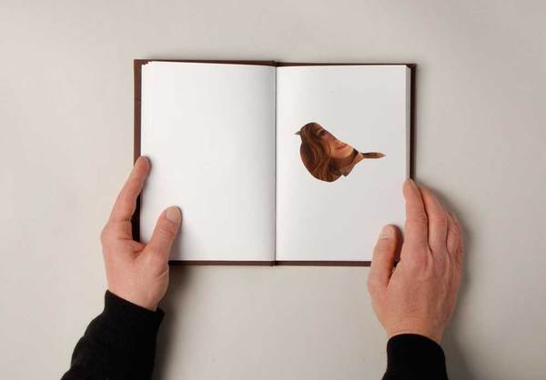 346d17d7fd88862d3c891f8b0e452bf2