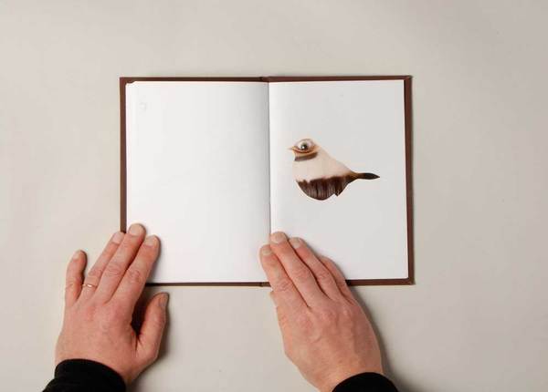 4fb334ccb0dc34e07fd693029b7bd4a1