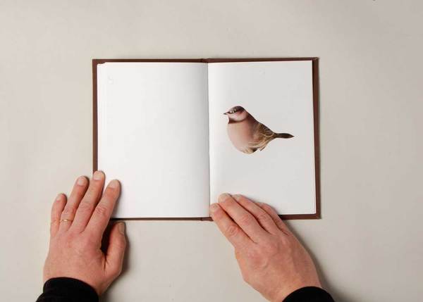 7b9c10af78645e281a897eb81510867a