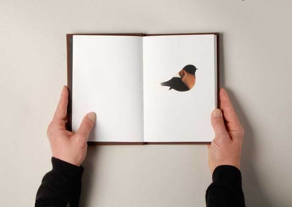 b037392e8f0c5102d8837bc3383ceeb6